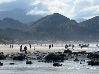 oregoon coast Canyon Rock tide low ebb flow