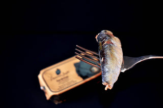 Portuguese Sardines in Olive Oil