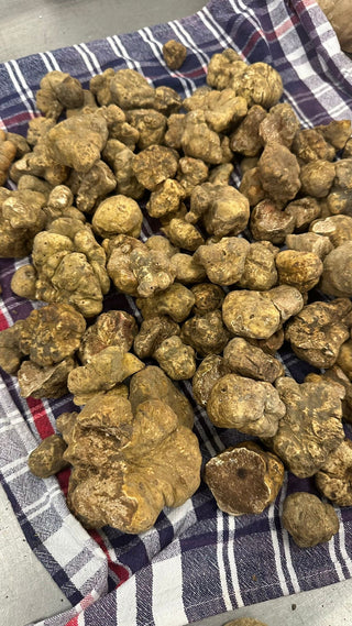 Fresh Italian Truffles PREORDER