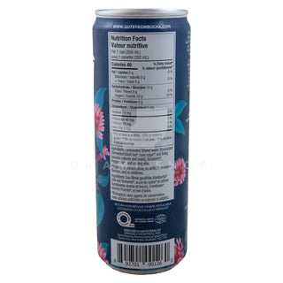 ORGANIC Kombucha Raspberry & Mint