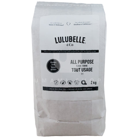 All Purpose Flour 4.4lbs (GF)