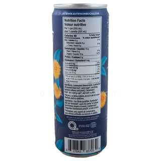 ORGANIC Kombucha w/Cardamom