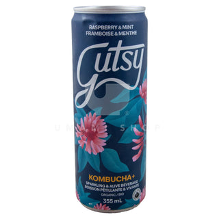 ORGANIC Kombucha Raspberry & Mint