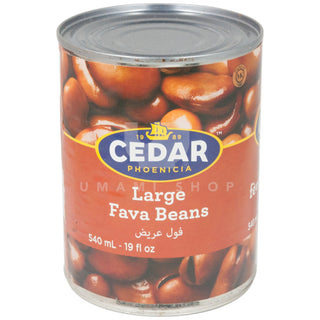 Large Fava Beans