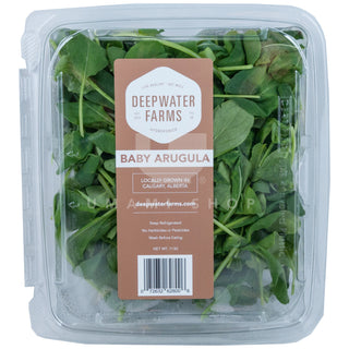 Baby Arugula